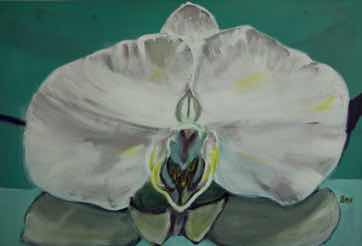 This is not an Orchid, acrylic on canvas, 24"x36" This is not an Orchid, acrylic on canvas, 24"x36"
